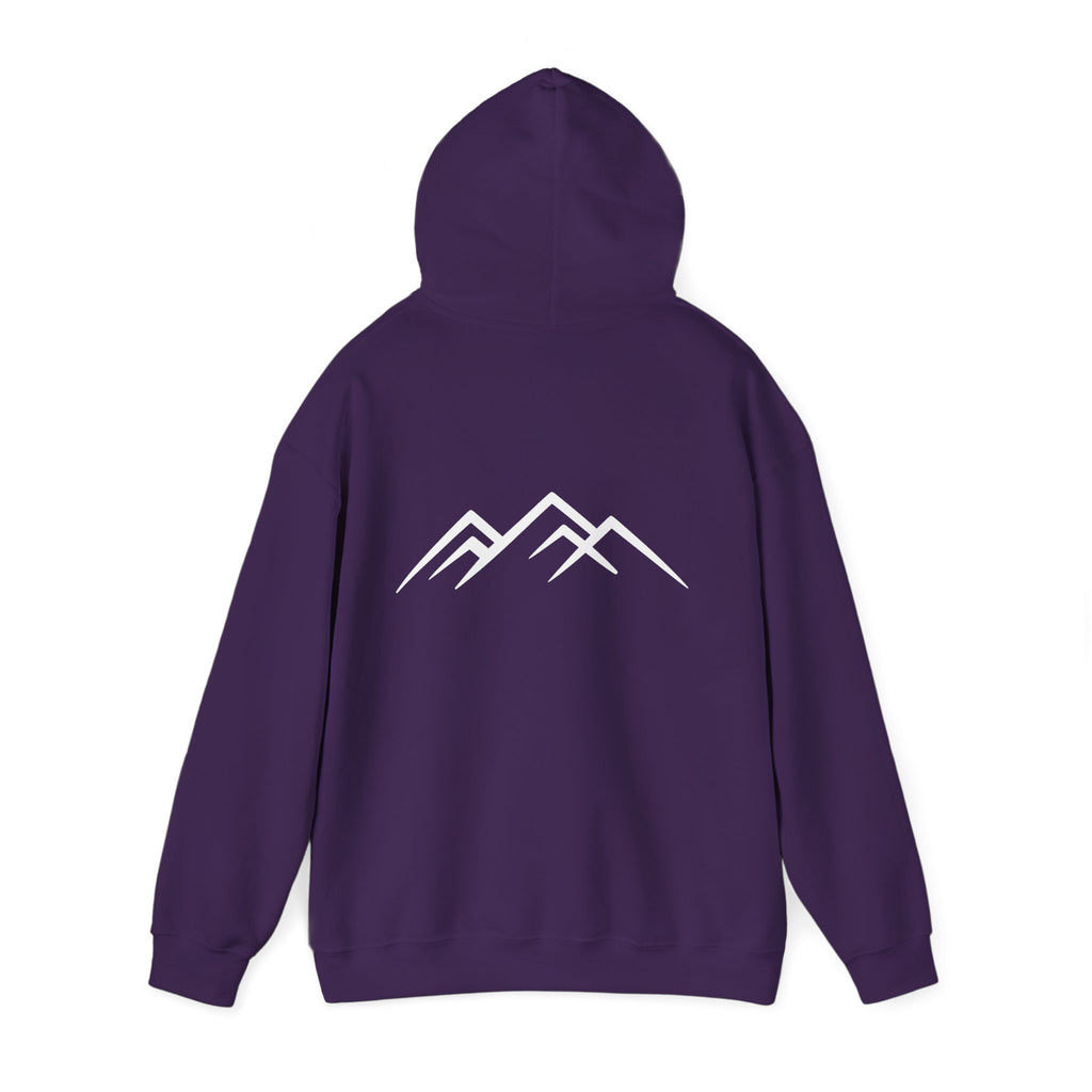 "Discipline Builds Freedom" Hoodie - Unisex Heavyweight Motivational Sweatshirt.