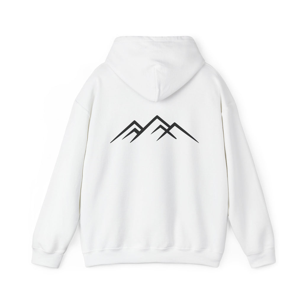 "Discipline Builds Freedom" Hoodie - Unisex Heavyweight Motivational Sweatshirt.