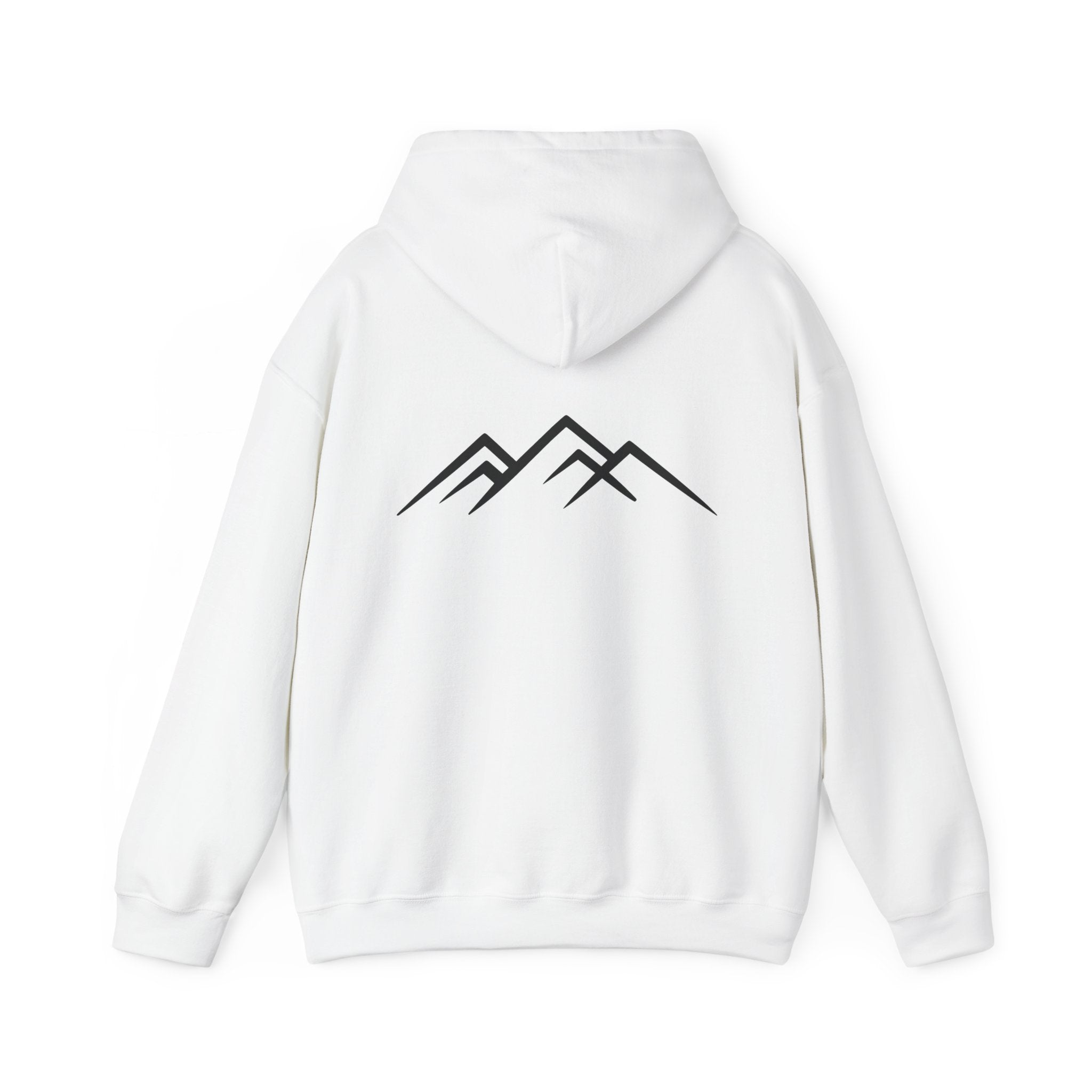 "Discipline Builds Freedom" Hoodie - Unisex Heavyweight Motivational Sweatshirt.