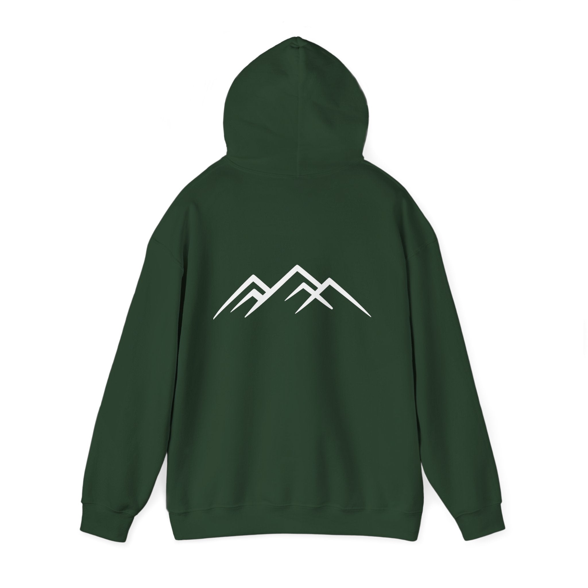"Discipline Builds Freedom" Hoodie - Unisex Heavyweight Motivational Sweatshirt.