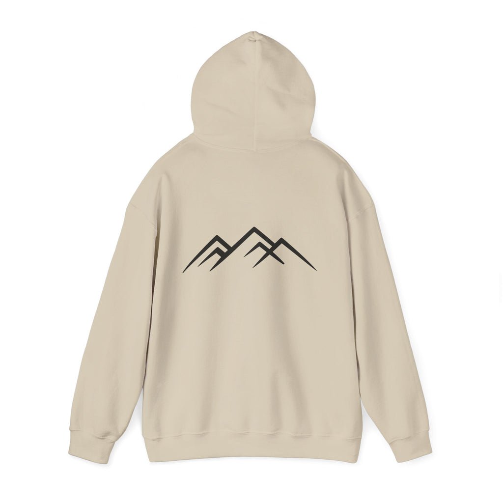 "Discipline Builds Freedom" Hoodie - Unisex Heavyweight Motivational Sweatshirt.
