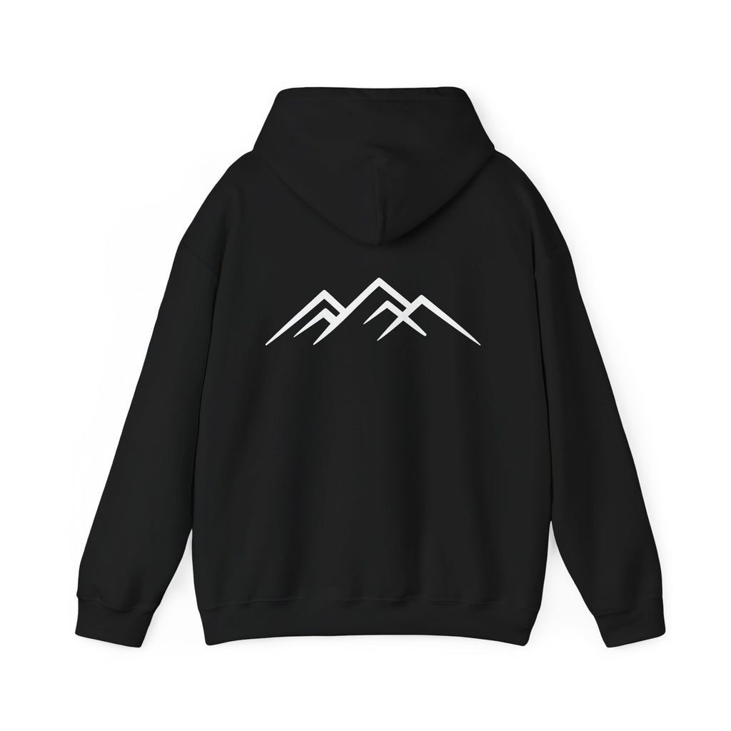 "Discipline Builds Freedom" Hoodie - Unisex Heavyweight Motivational Sweatshirt.