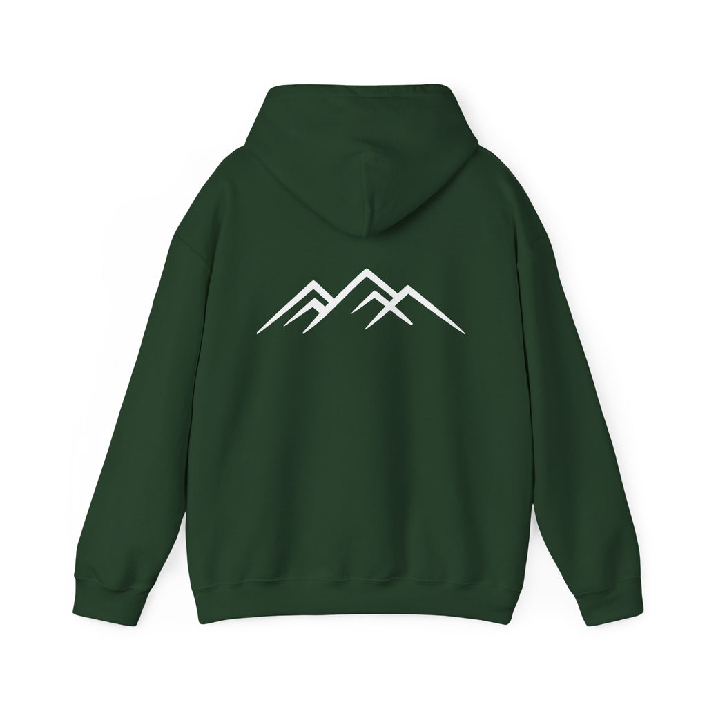 "Discipline Builds Freedom" Hoodie - Unisex Heavyweight Motivational Sweatshirt.