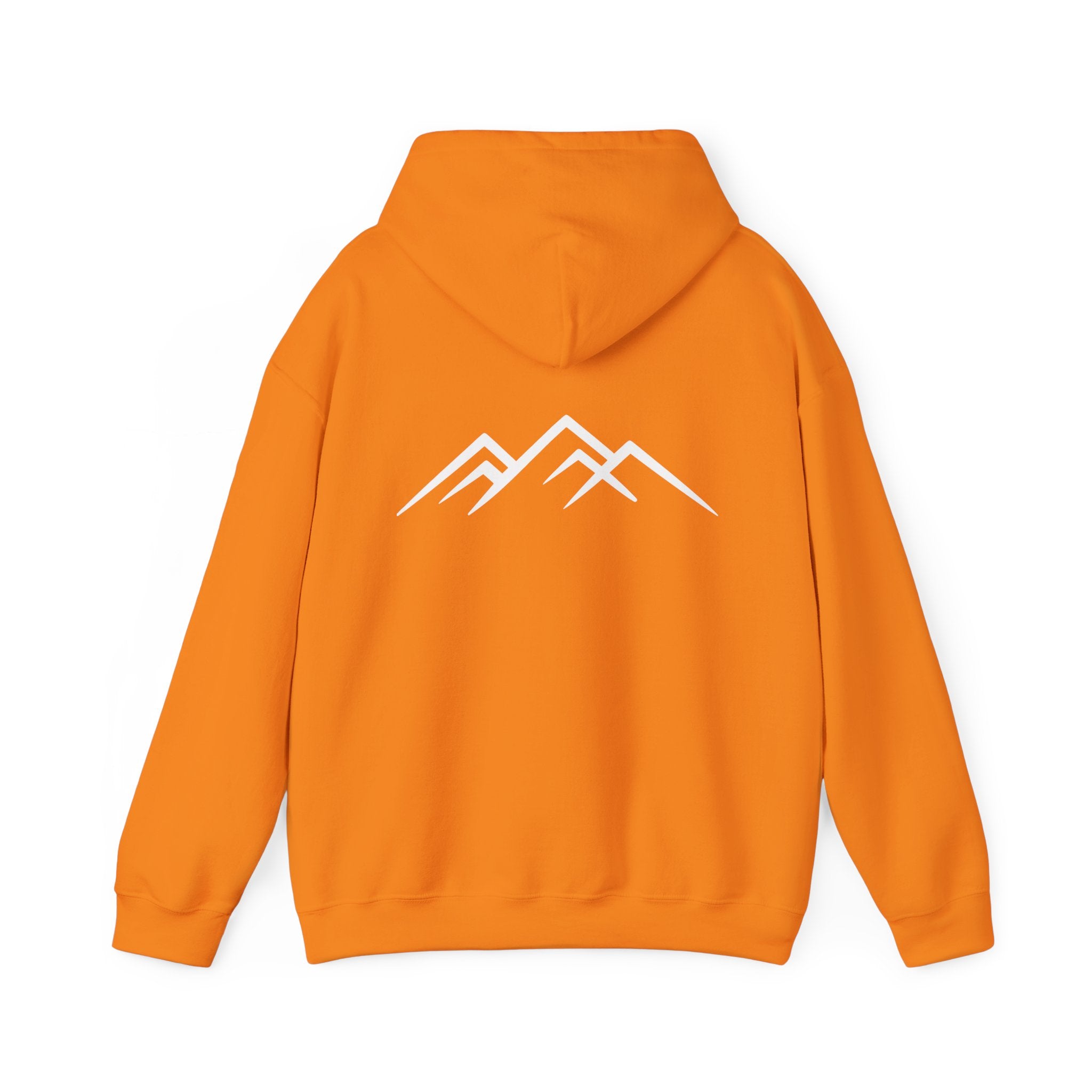 "Discipline Builds Freedom" Hoodie - Unisex Heavyweight Motivational Sweatshirt.