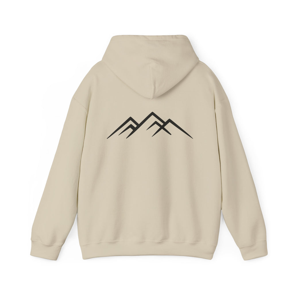 "Discipline Builds Freedom" Hoodie - Unisex Heavyweight Motivational Sweatshirt.