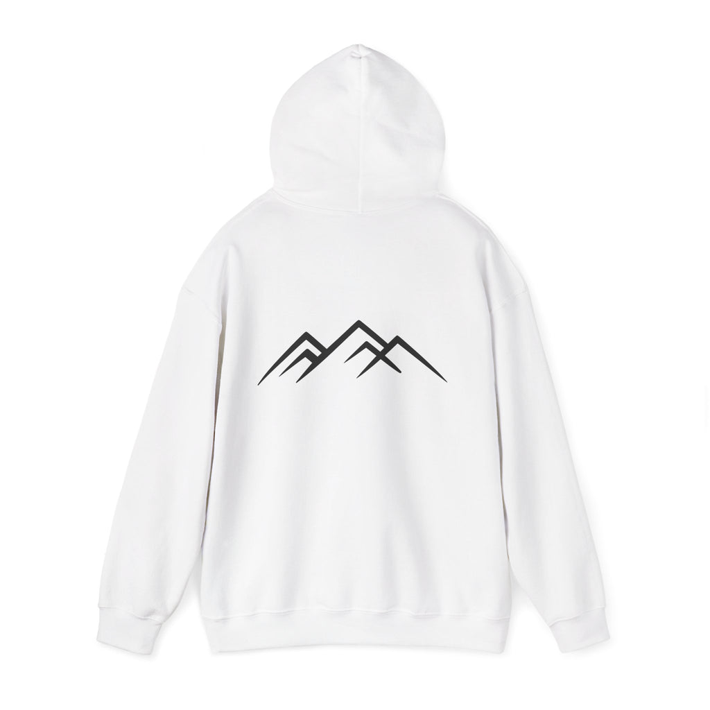 "Discipline Builds Freedom" Hoodie - Unisex Heavyweight Motivational Sweatshirt.