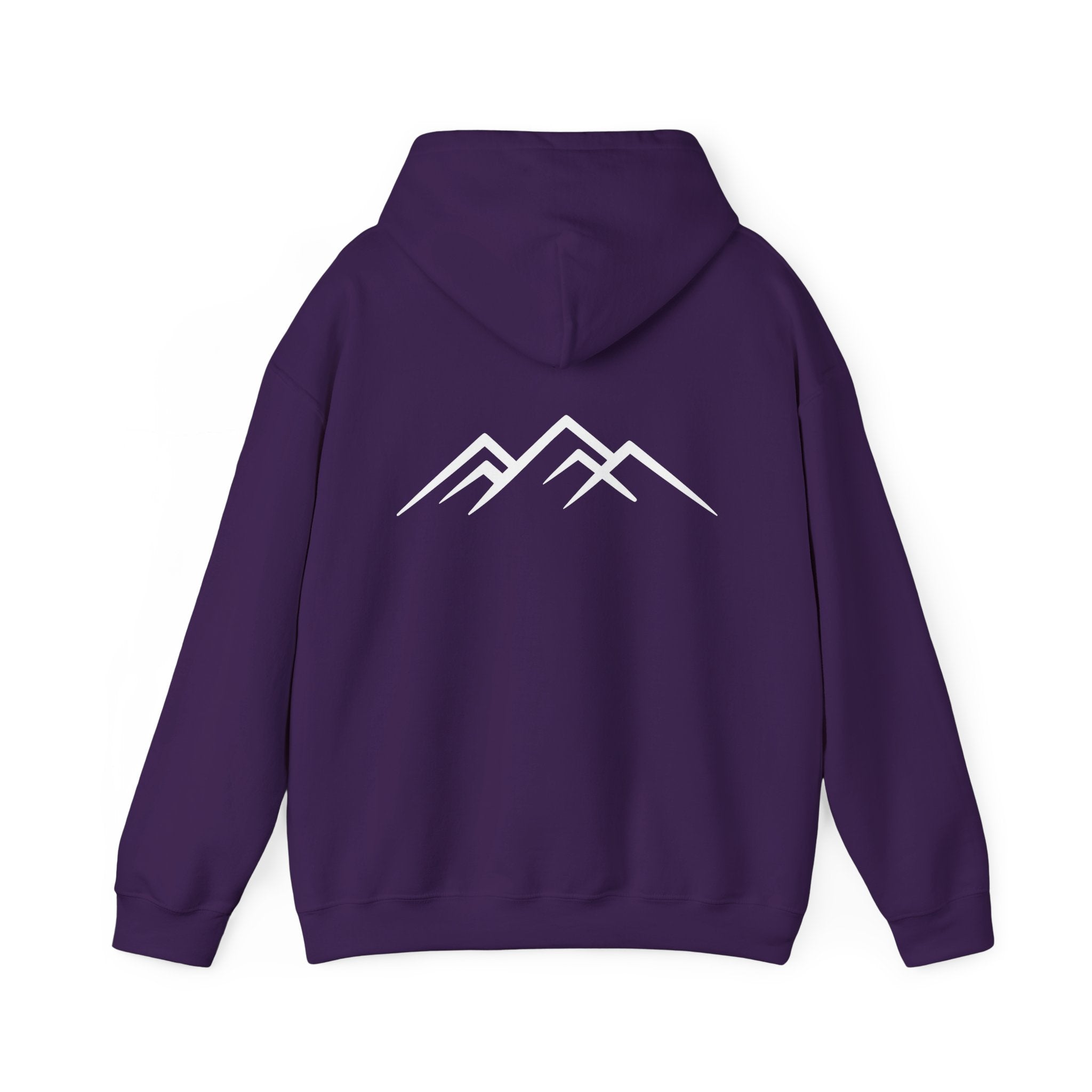 "Discipline Builds Freedom" Hoodie - Unisex Heavyweight Motivational Sweatshirt.