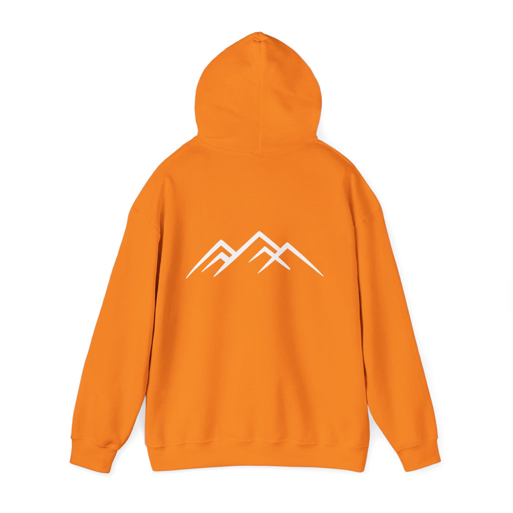 "Discipline Builds Freedom" Hoodie - Unisex Heavyweight Motivational Sweatshirt.