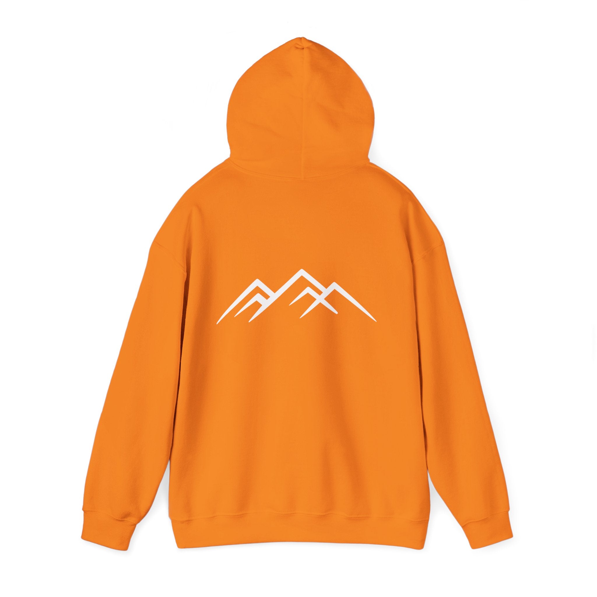 "Discipline Builds Freedom" Hoodie - Unisex Heavyweight Motivational Sweatshirt.